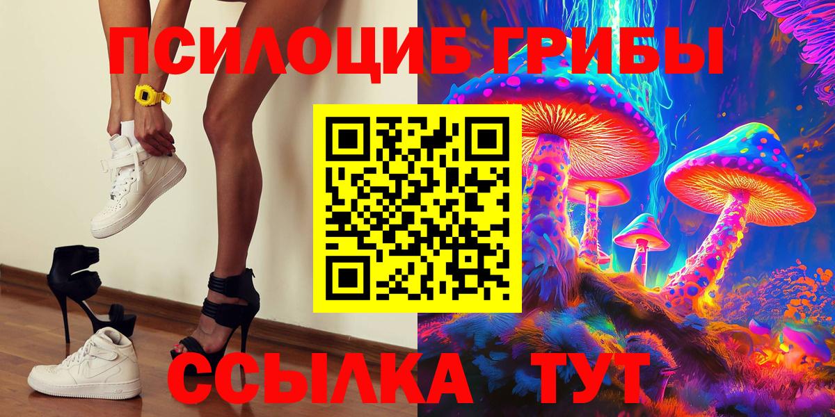 Галлюциногенные грибы Cubensis Камышин