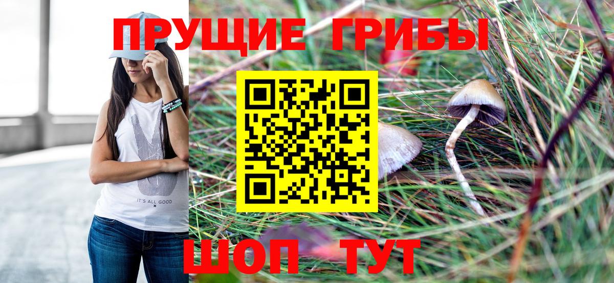 Галлюциногенные грибы Magic Shrooms  Галлюциногенные грибы MAGIC MUSHROOMS  Камышин  Вход с VPN 